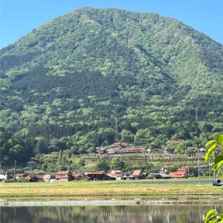 2026.05.05
こどもの日🎏

昨日、一昨日は天候不良のため麓耕地区の鯉のぼりたちもお休みでしたがこどもの日の今日は優雅に泳いでいます🎏
(つつじはもう終わりですね)

今シーズンは今日が最終日とのことです。

#青野山#麓耕地区#こいのぼり#津和野#津和野町観光協会公式ホームページ、Facebook、X(旧Twitter)、YouTubeチャンネルもチェック！