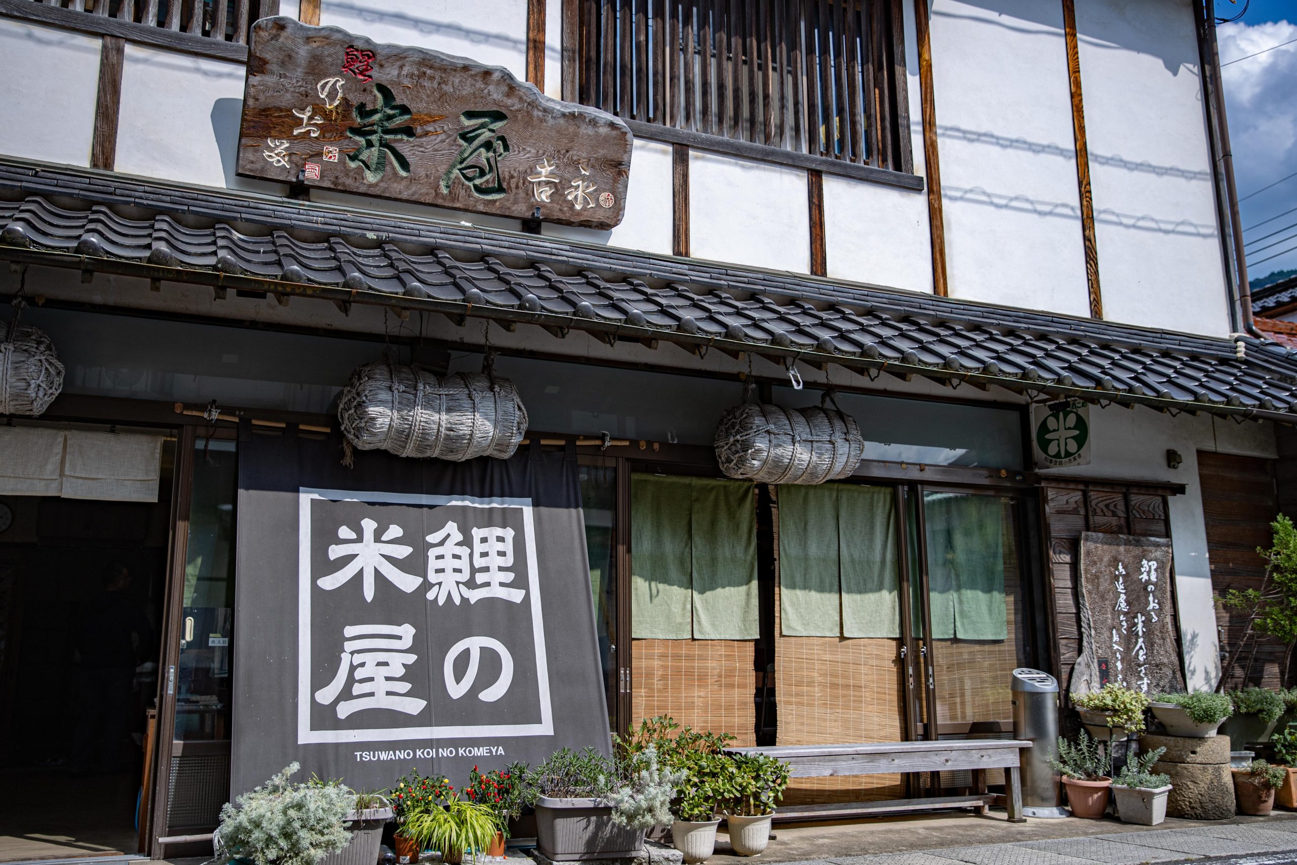 鯉の肥松の置物☆縁起物、天然木、和室、骨董品【こちらは店舗です。浜村鹿野温泉ICから3分 買取本舗 宮本リサイクル 営業時間9～19時 定休日水曜のみ←連絡できませんm(_ _)m 鯉の米屋5-scaled.jpg