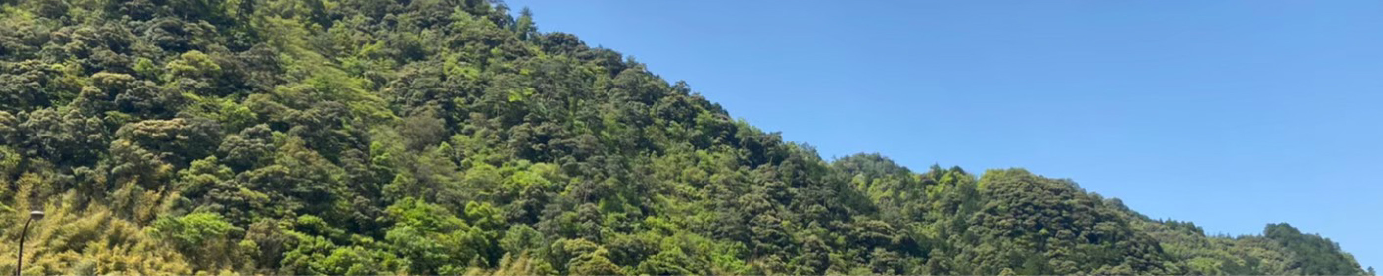 Contact お問い合わせ